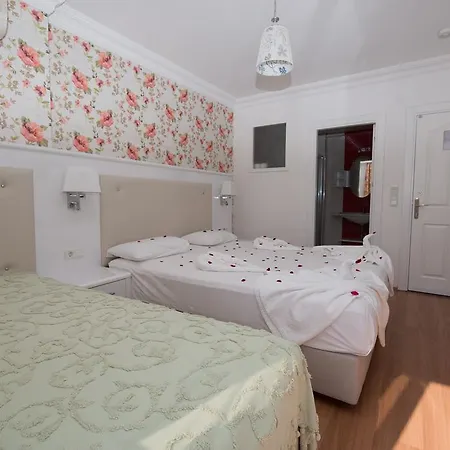 Anik Guest house Tosmur