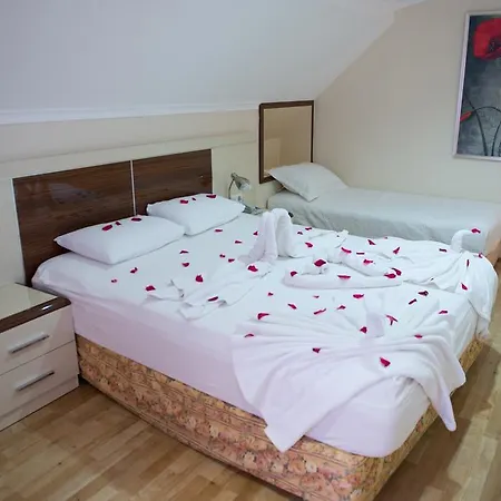 Guest house Anik