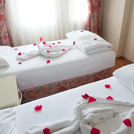 Guest house Anik 3*
