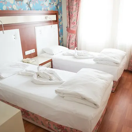 Guest house Anik 3*