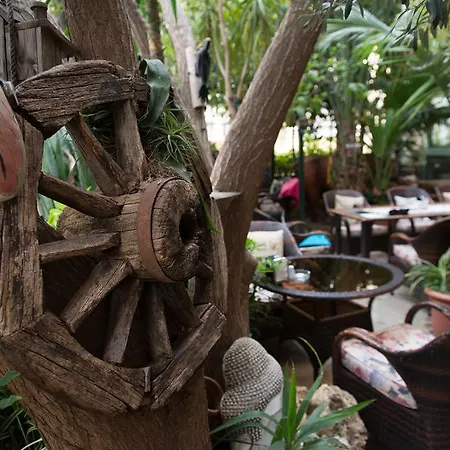 Guest house Anik