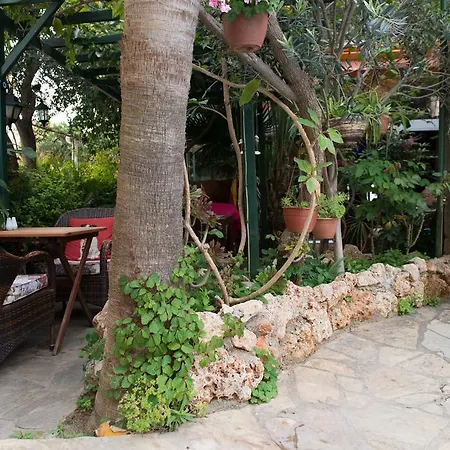 Guest house Anik Tosmur