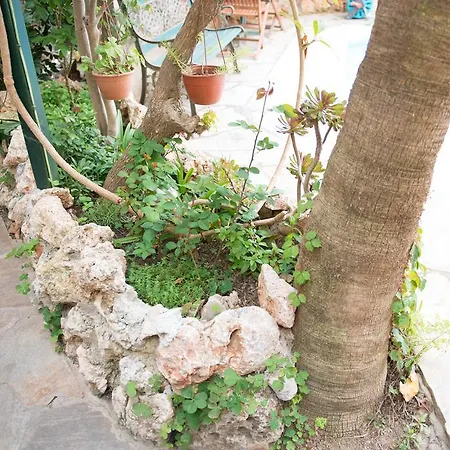 Guest house Anik Tosmur
