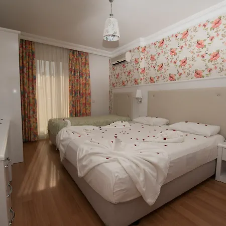 Anik Guest house