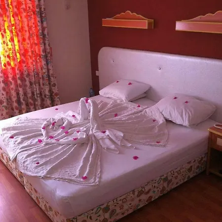 Anik 3* Tosmur